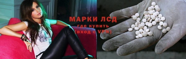 крисы Аркадак