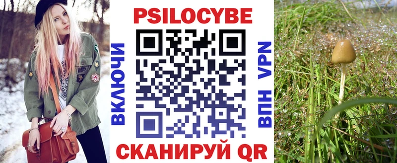 Псилоцибиновые грибы GOLDEN TEACHER  Рудня 